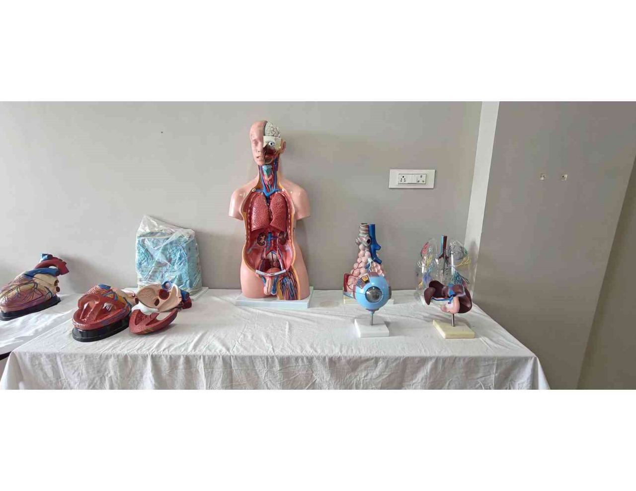 Human Anatomy Laboratory